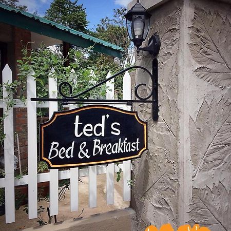 Ted'S Bed And Breakfast Santa Cruz  外观 照片