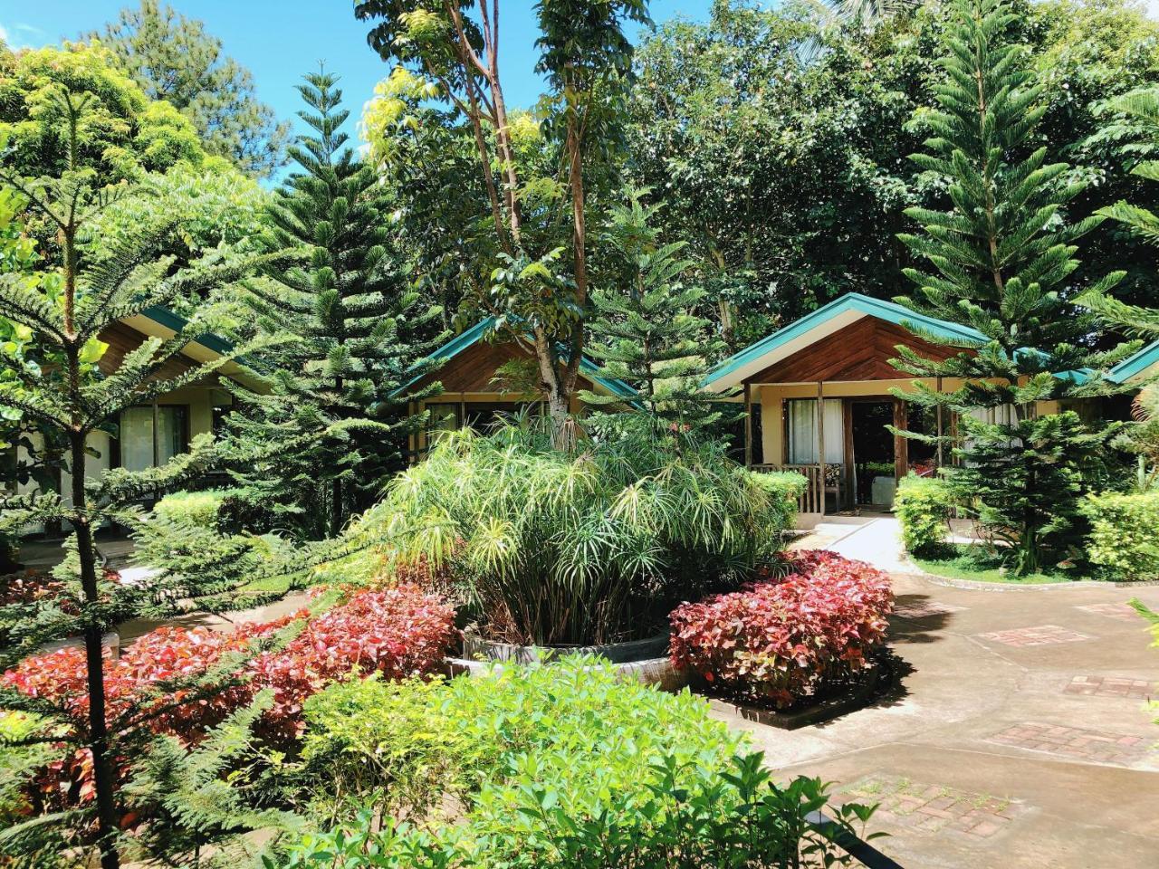 Ted'S Bed And Breakfast Santa Cruz  外观 照片